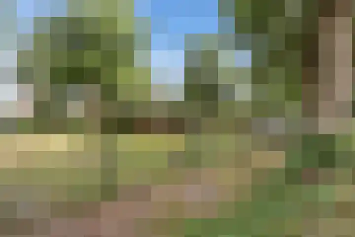 Kleine Hoorn 6 Marum thumbnail 40
