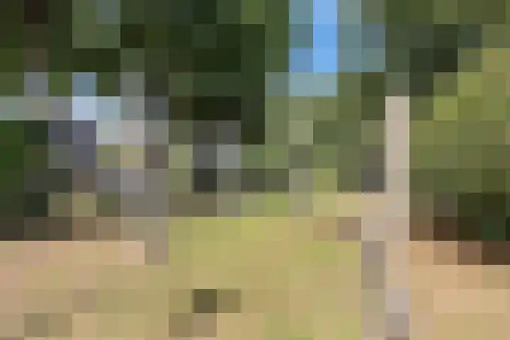 Kleine Hoorn 6 Marum thumbnail 41