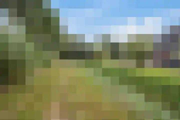 Kleine Hoorn 6 Marum thumbnail 42