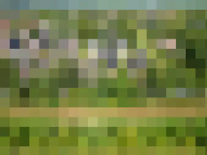 Kleine Hoorn 6 Marum thumbnail 43