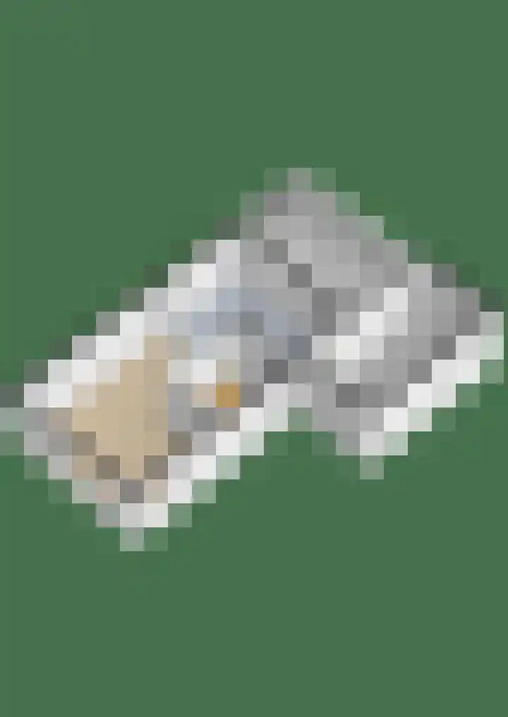 Kleine Hoorn 6 Marum thumbnail 46