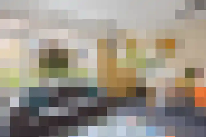 Kleine Hoorn 6 Marum thumbnail 7