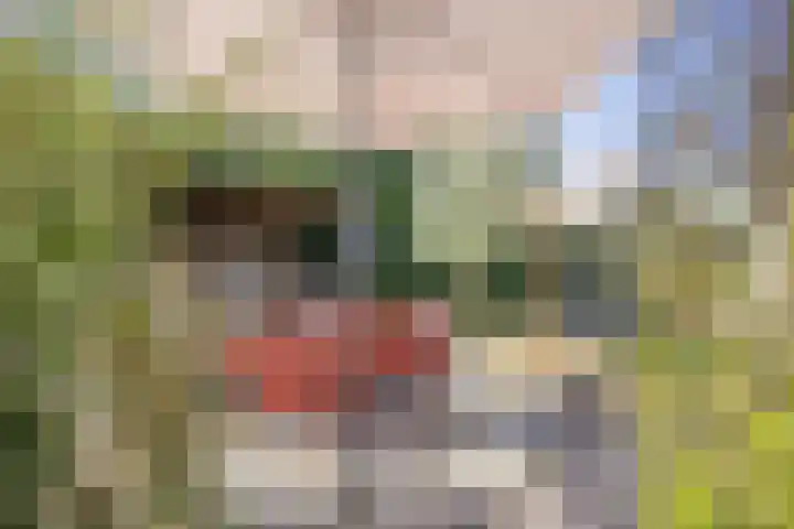 Kleine Horizon 111 Renesse thumbnail 19