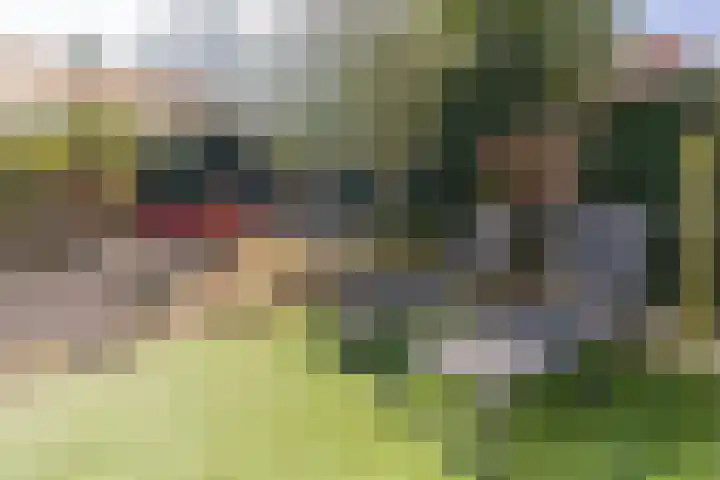 Kleine Horizon 111 Renesse thumbnail 20