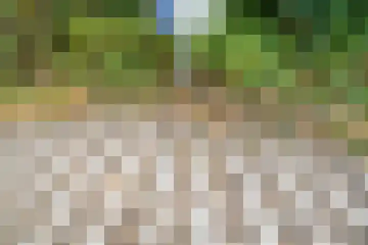 Kleine Horizon 111 Renesse thumbnail 21
