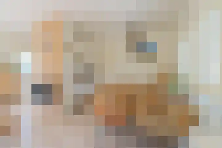 Kleine Horizon 111 Renesse thumbnail 8