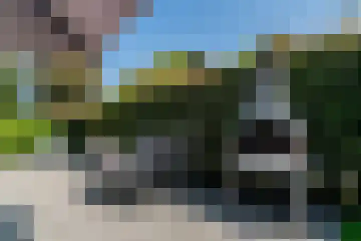 Kleine Horizon 112 Renesse thumbnail 17