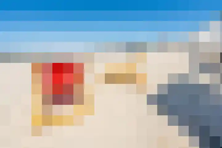 Kleine Horizon 112 Renesse thumbnail 20