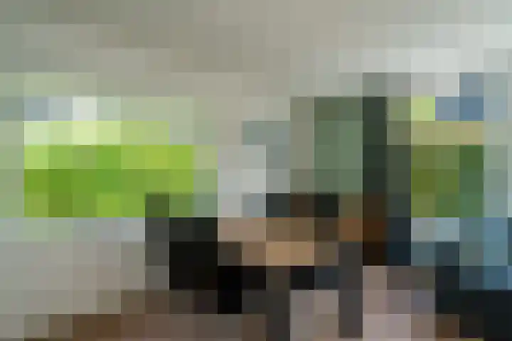 Kleine Horizon 112 Renesse thumbnail 5
