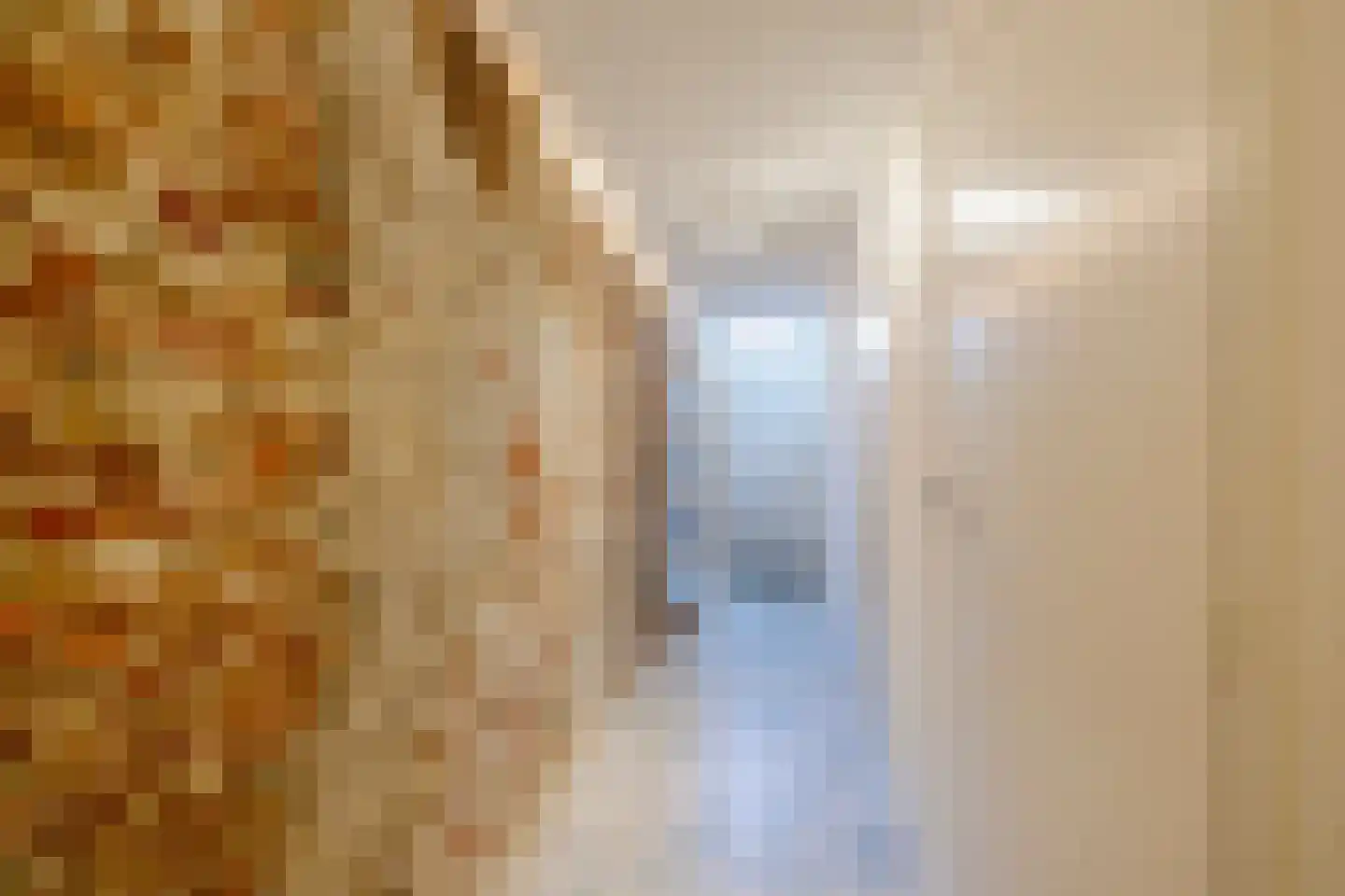 Kleine Houtstraat 122 C Haarlem thumbnail 20
