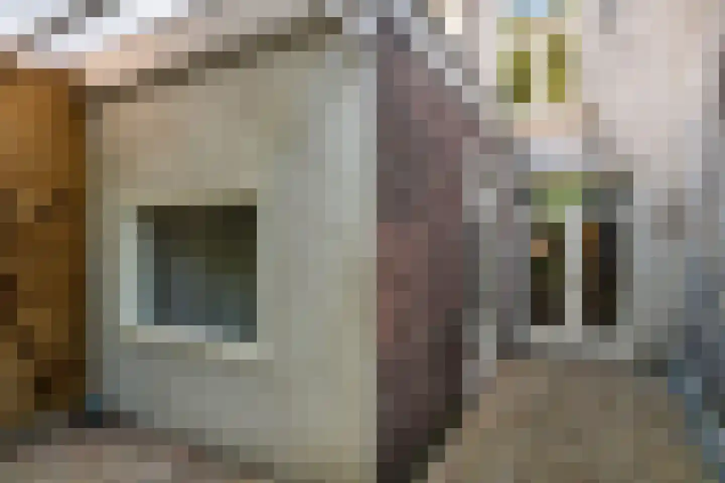 Kleine Houtstraat 134 Haarlem thumbnail 16