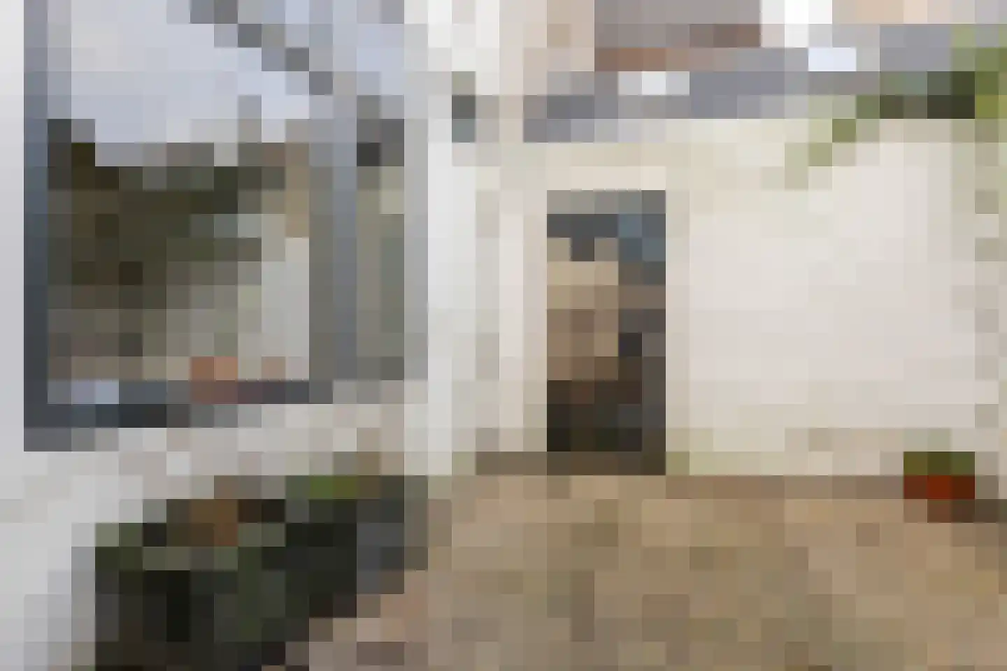 Kleine Houtstraat 69 Haarlem thumbnail 13
