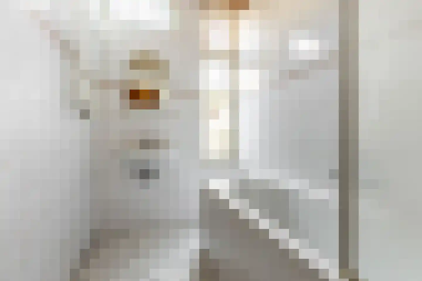 Kleine Houtstraat 69 Haarlem thumbnail 22