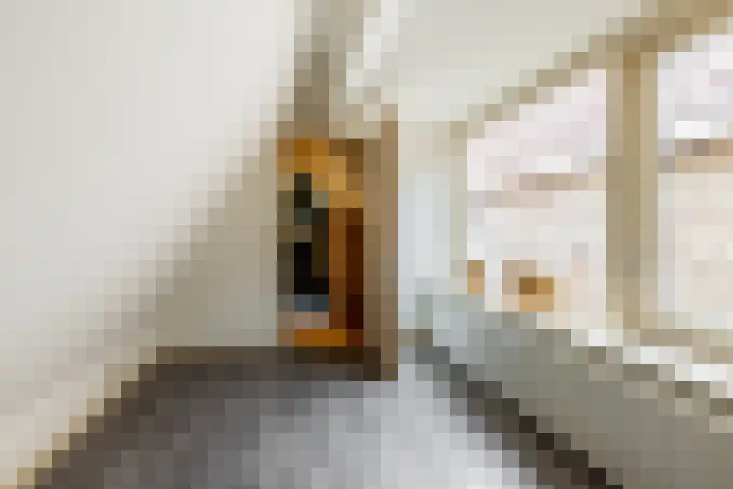 Kleine Houtstraat 69 Haarlem thumbnail 24