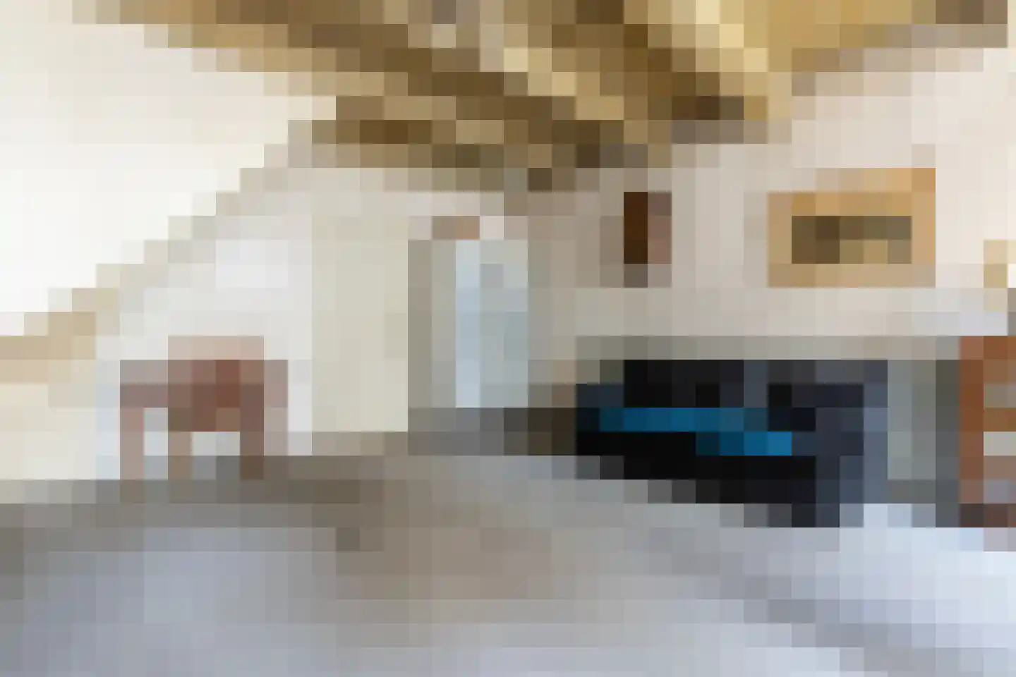 Kleine Houtstraat 69 Haarlem thumbnail 9