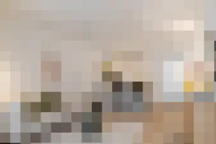 Kleine Houtstraat 77 Haarlem thumbnail 8