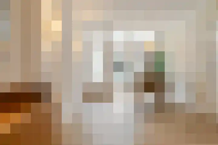 Kleine Houtstraat 77 Haarlem thumbnail 9