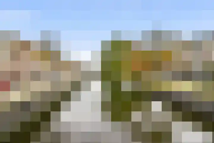 Kleine Houtweg 14 A Haarlem thumbnail 20