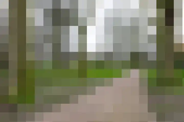 Kleine Houtweg 21 B Haarlem thumbnail 33