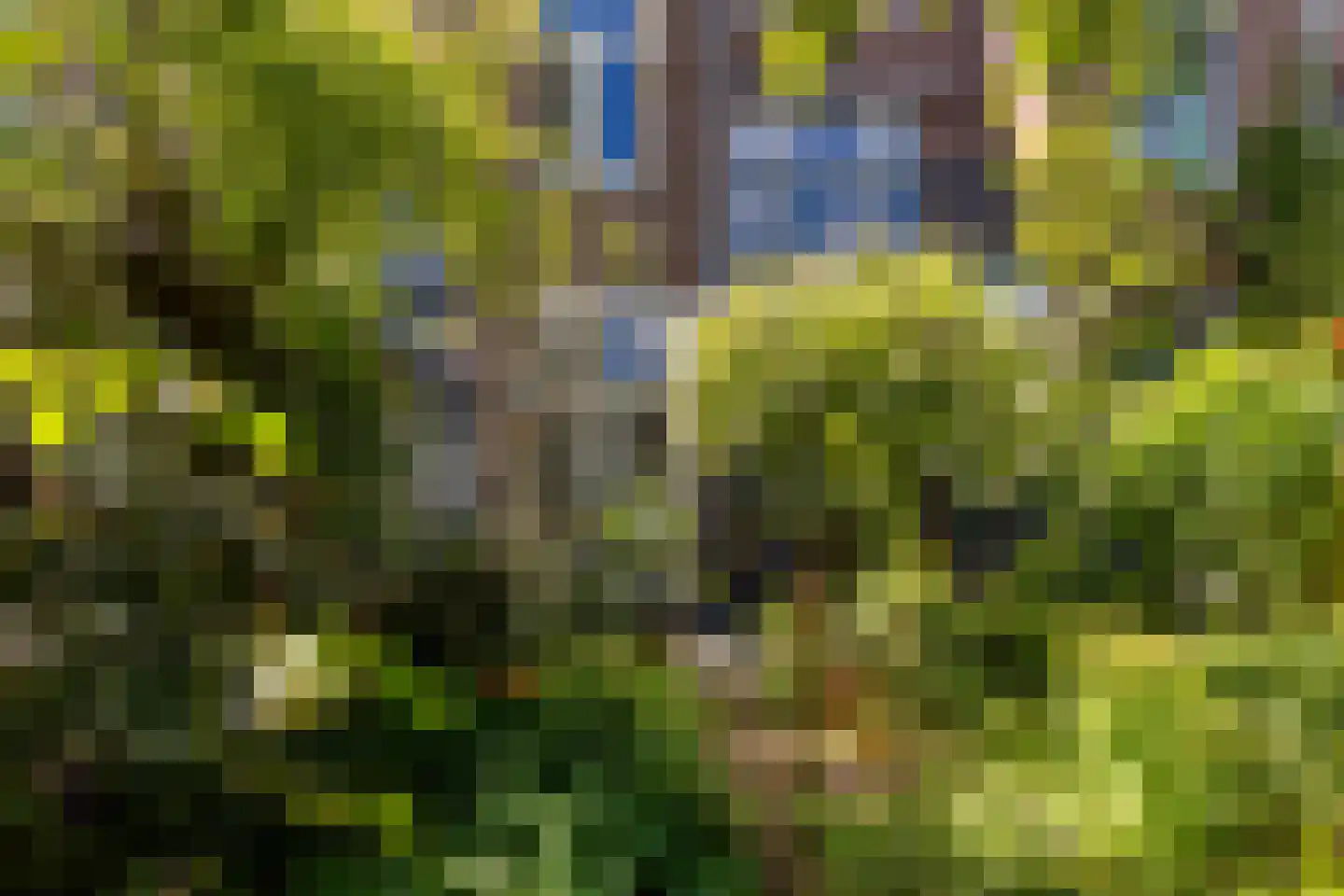 Kleine Houtweg 29 Haarlem thumbnail 4