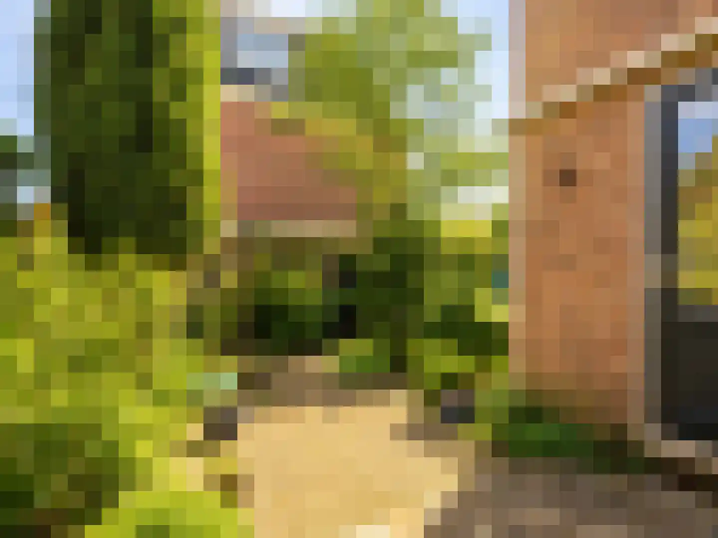 Kleine Houtweg 39 Haarlem thumbnail 15