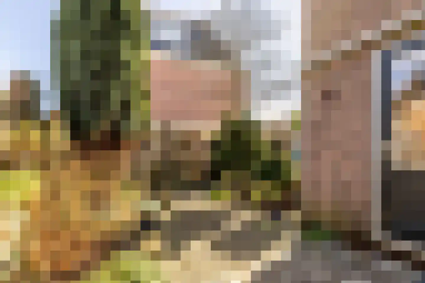 Kleine Houtweg 39 Haarlem thumbnail 17