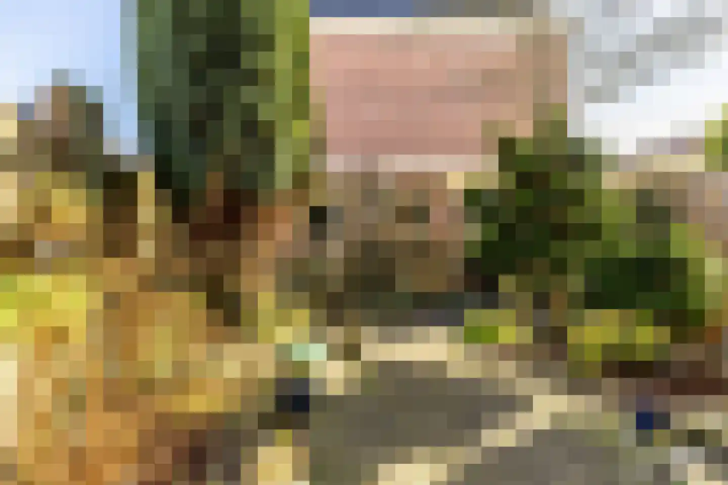 Kleine Houtweg 39 Haarlem thumbnail 18