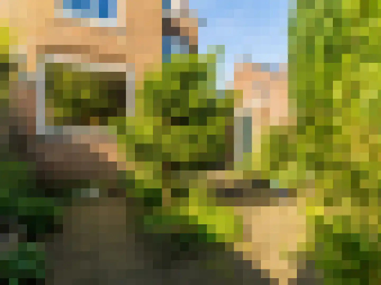 Kleine Houtweg 39 Haarlem thumbnail 18