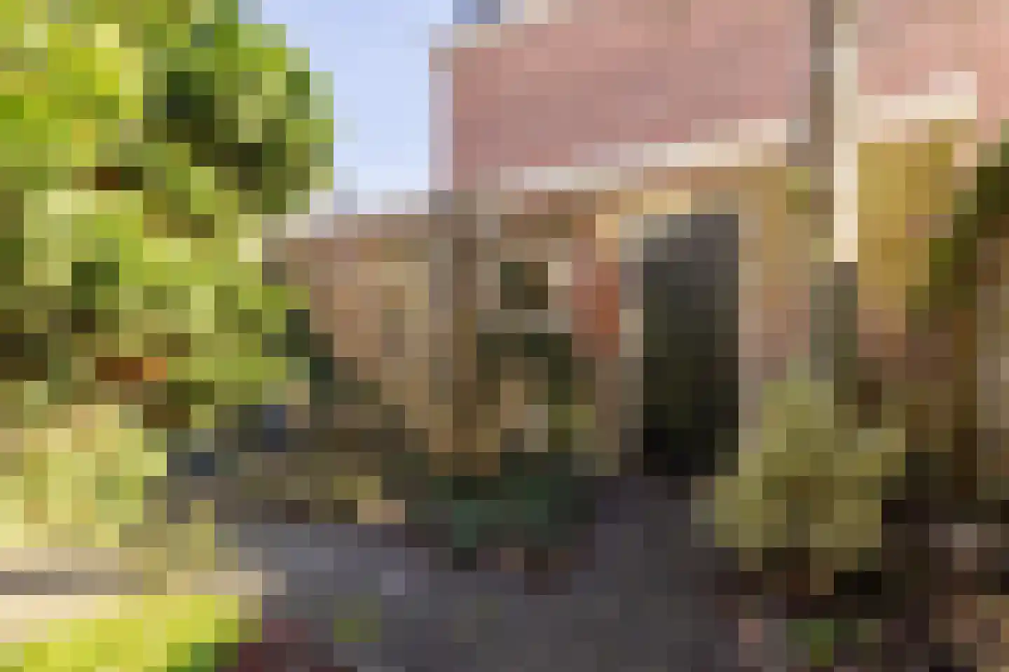 Kleine Houtweg 39 Haarlem thumbnail 19