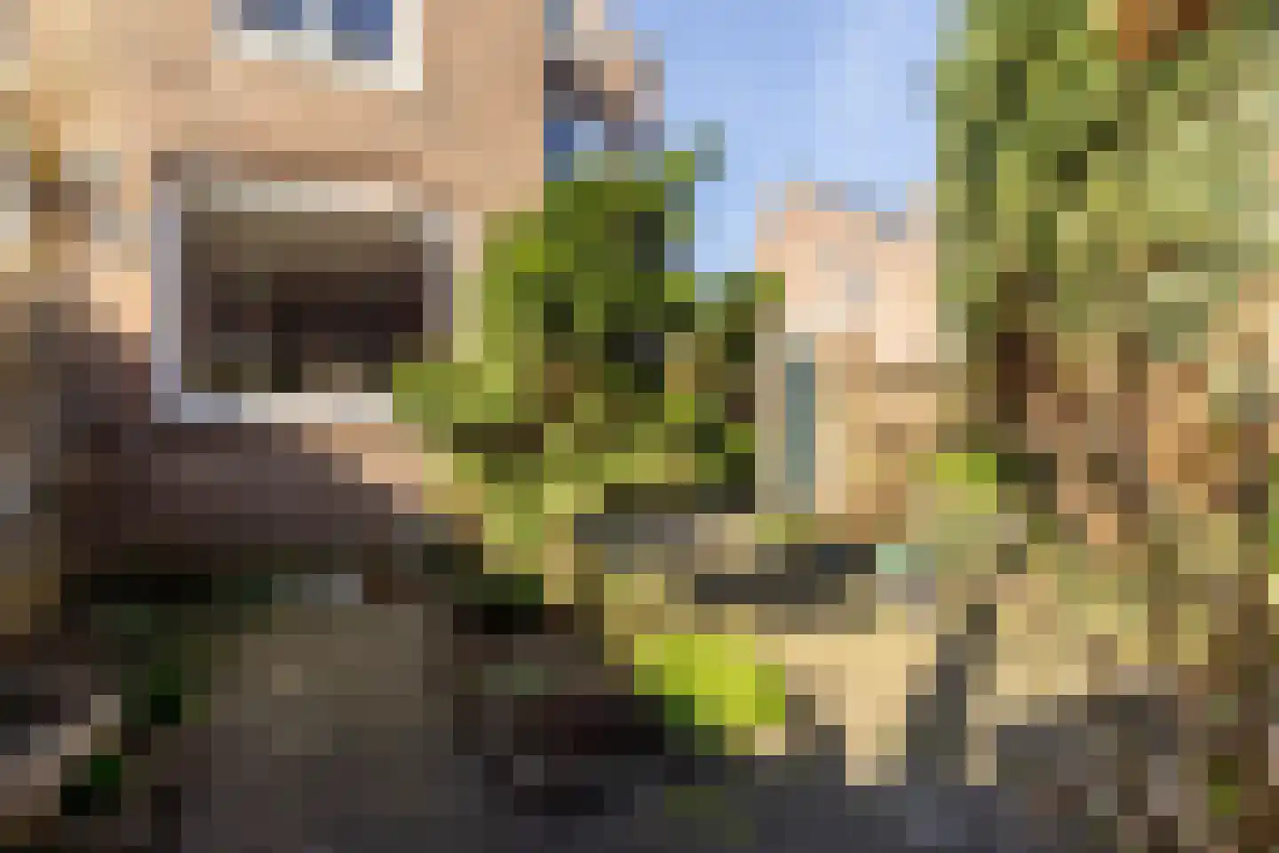 Kleine Houtweg 39 Haarlem thumbnail 20