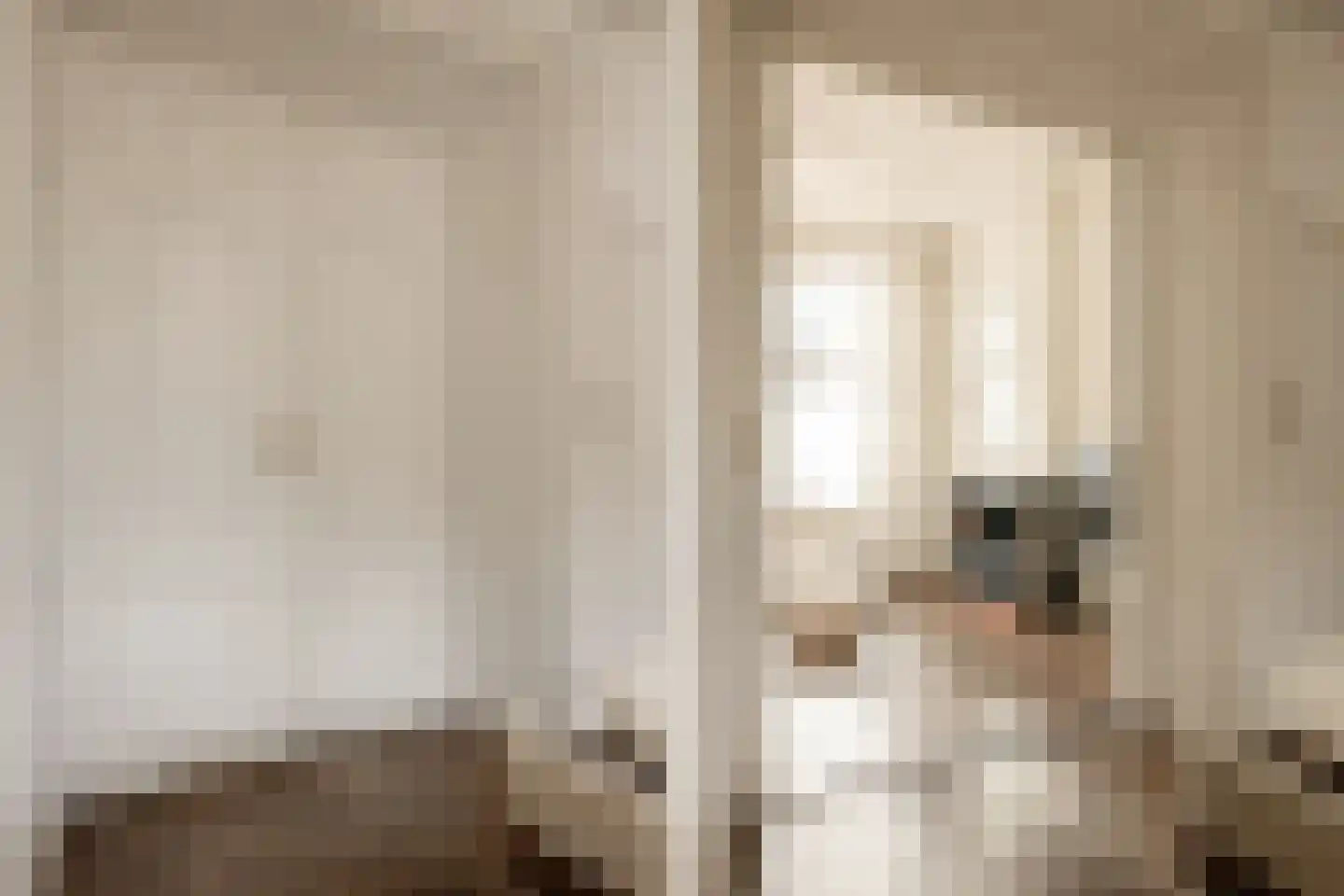 Kleine Houtweg 4 A ZW Haarlem thumbnail 6