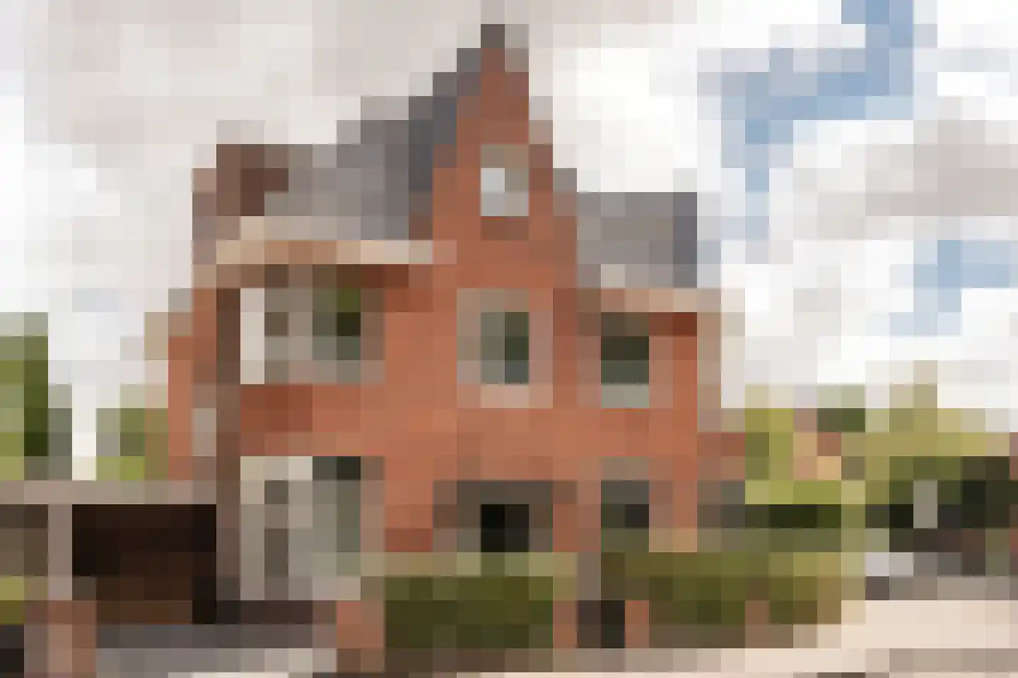 Kleine Houtweg 53 Haarlem