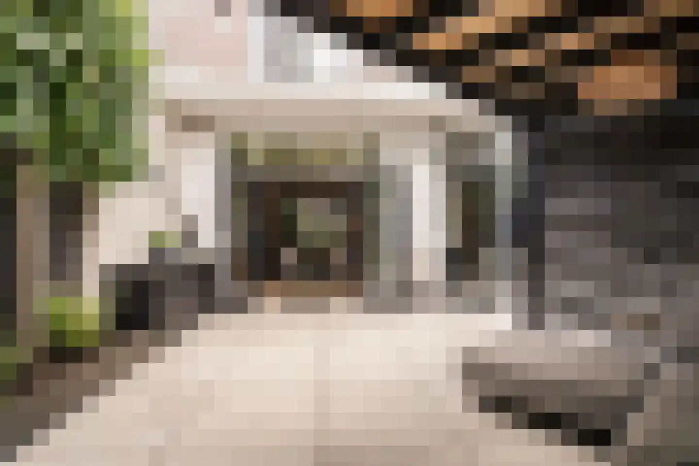 Kleine Houtweg 53 Haarlem thumbnail 11