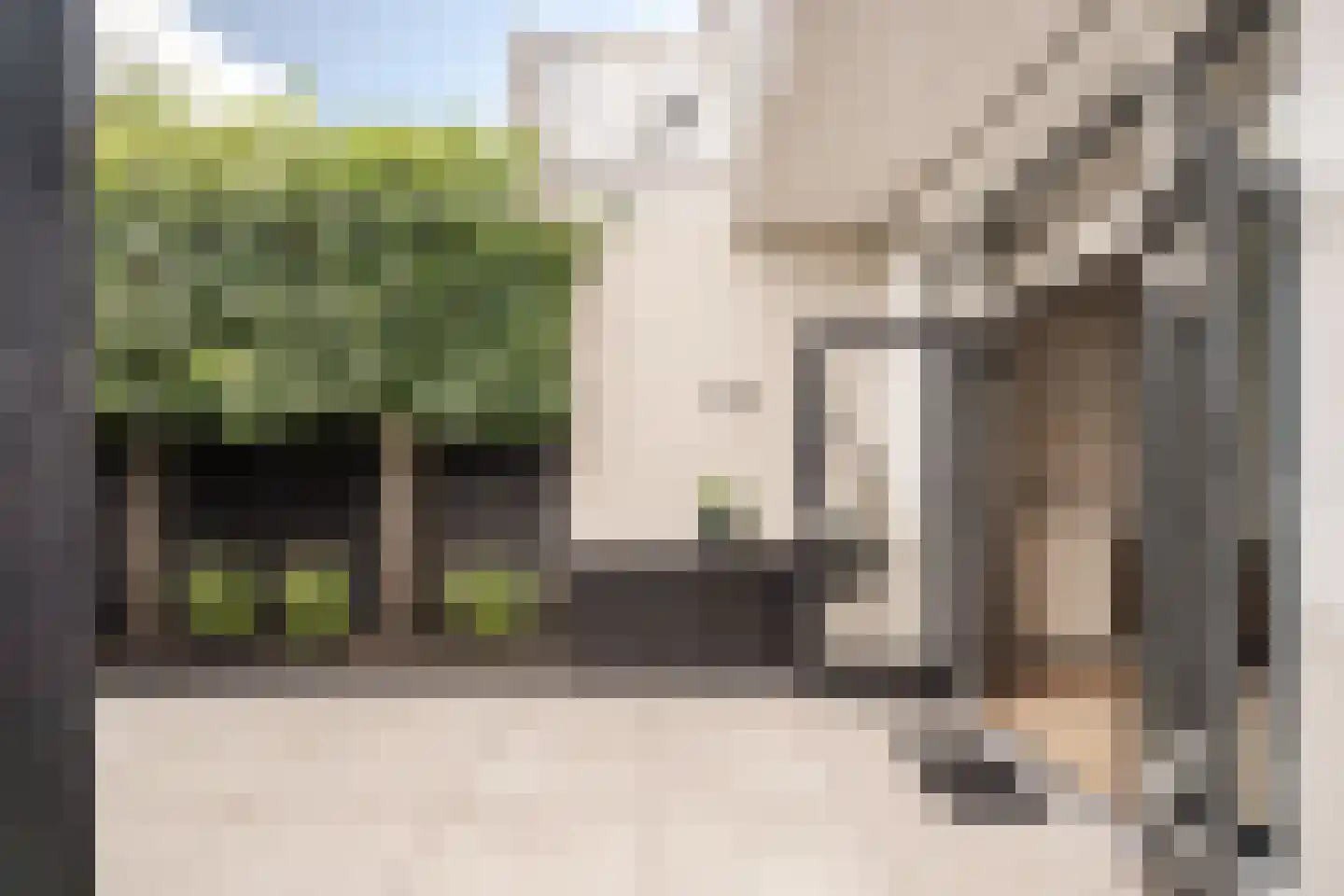 Kleine Houtweg 53 Haarlem thumbnail 13