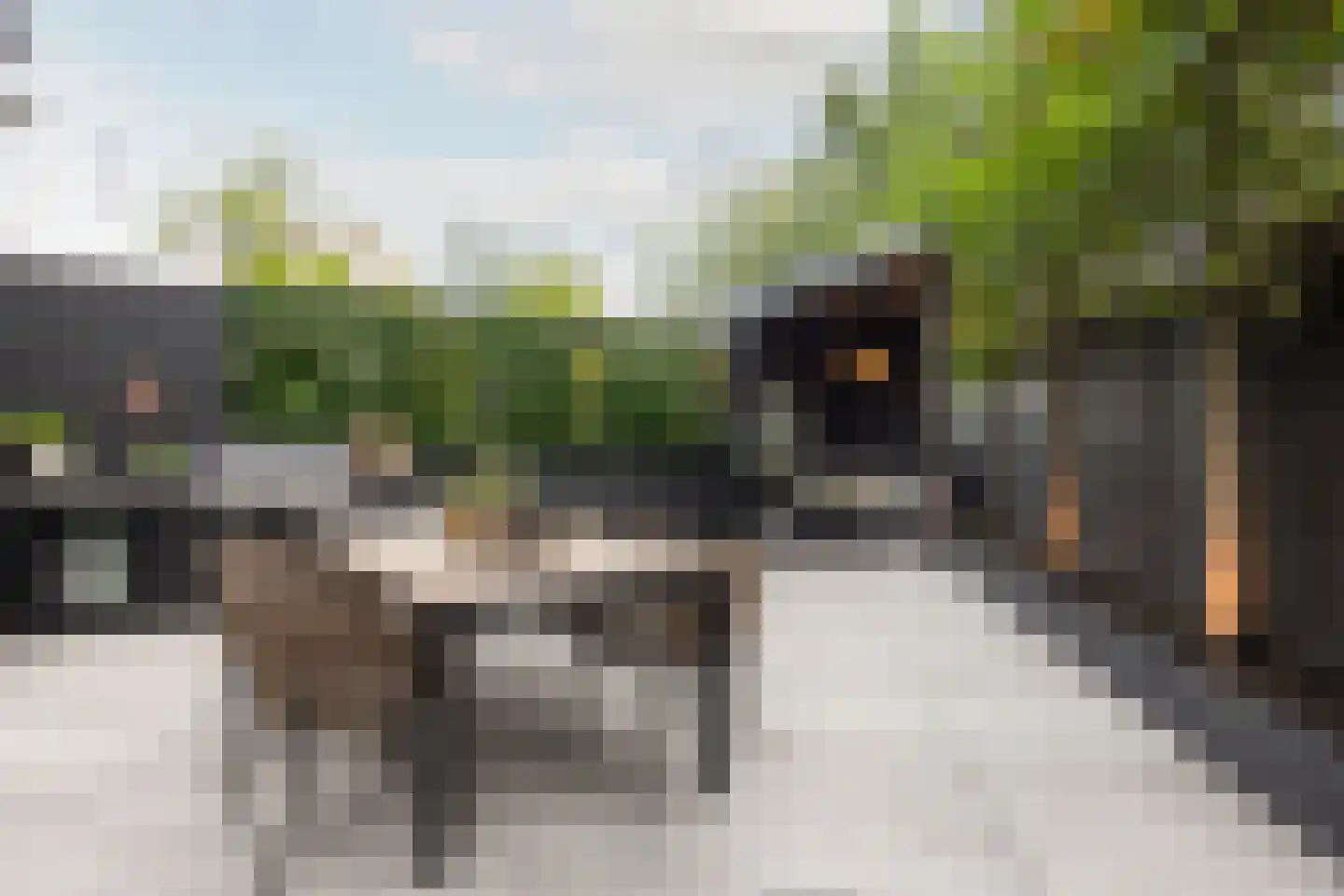 Kleine Houtweg 53 Haarlem thumbnail 15