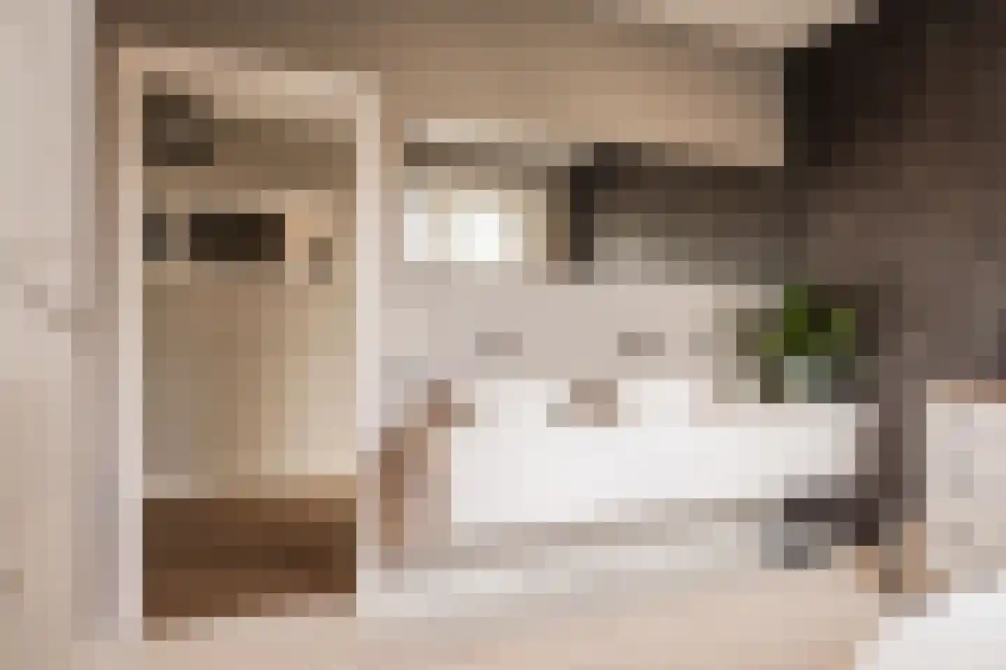 Kleine Houtweg 53 Haarlem thumbnail 18