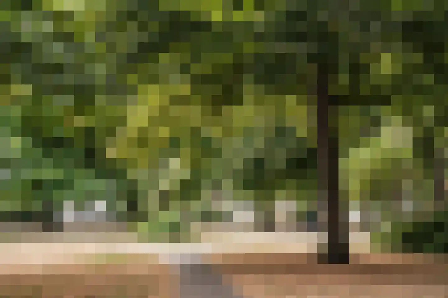 Kleine Houtweg 53 Haarlem thumbnail 24