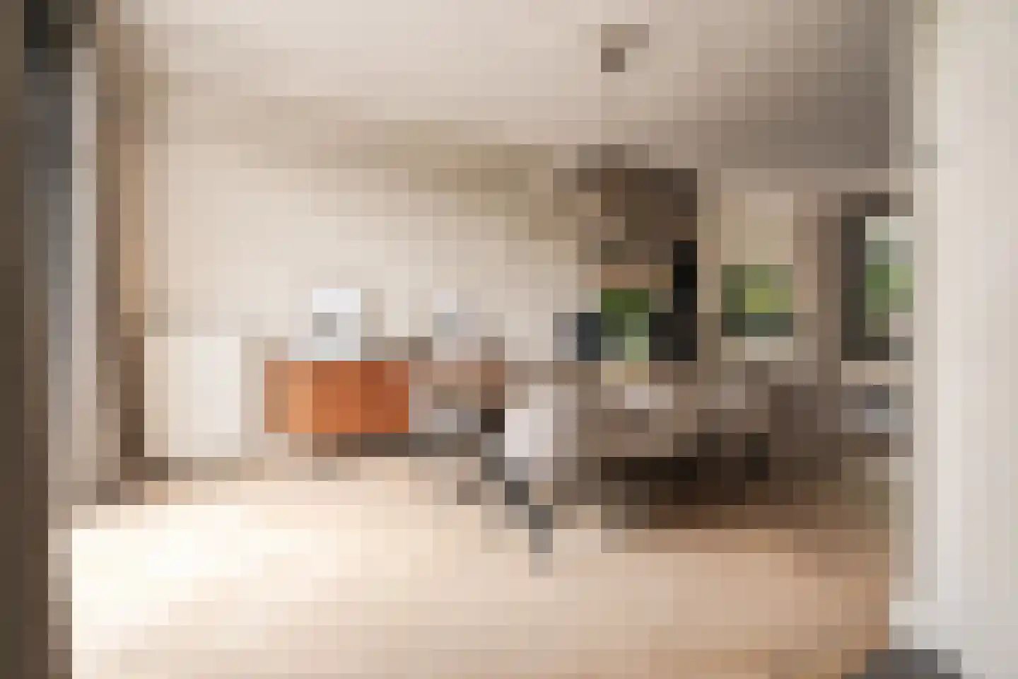 Kleine Houtweg 53 Haarlem thumbnail 4