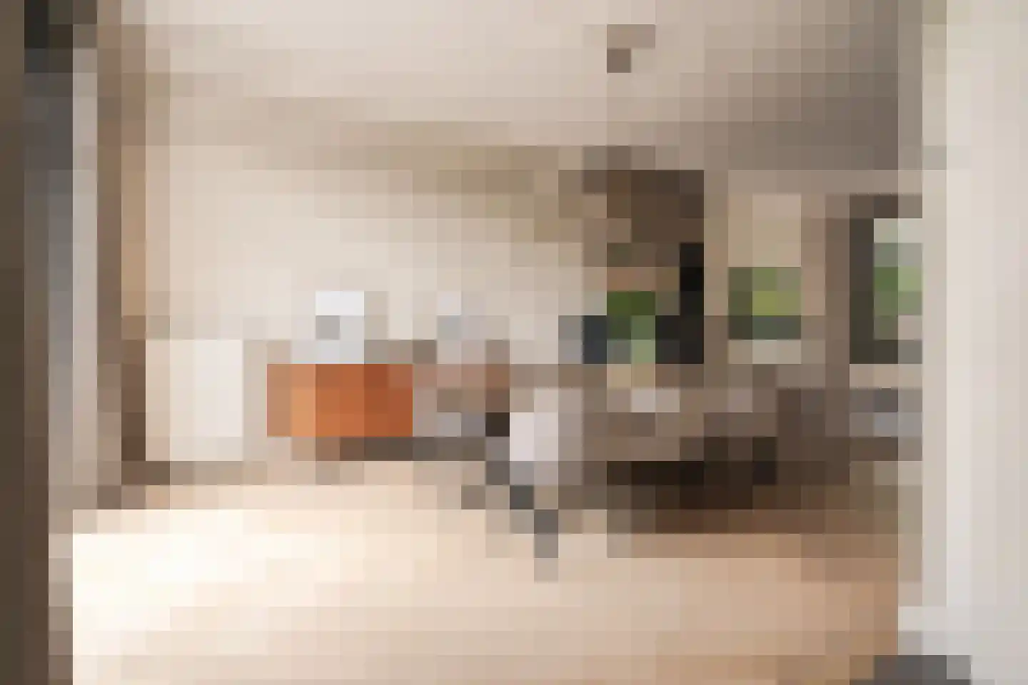 Kleine Houtweg 53 Haarlem thumbnail 4