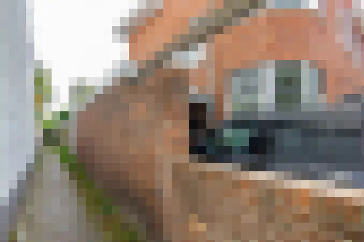Kleine Houtweg 53 Haarlem thumbnail 54