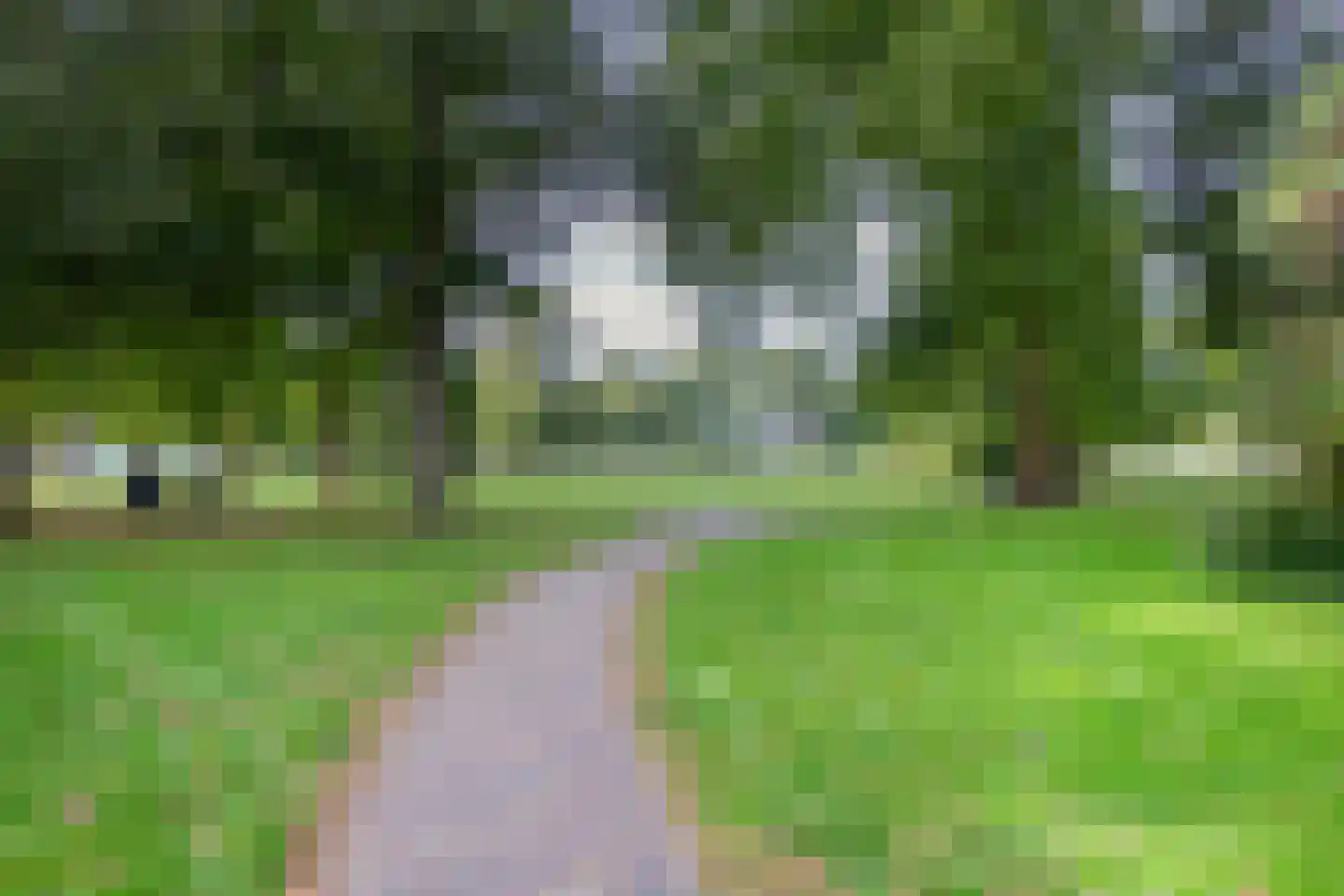 Kleine Houtweg 53 Haarlem thumbnail 55
