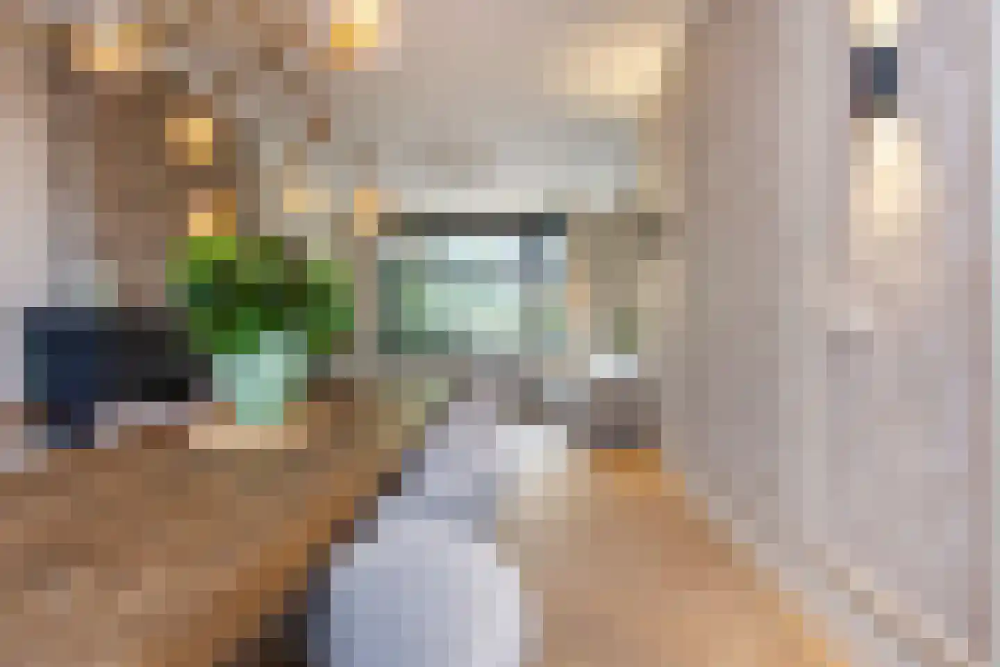 Kleine Houtweg 53 Haarlem thumbnail 7