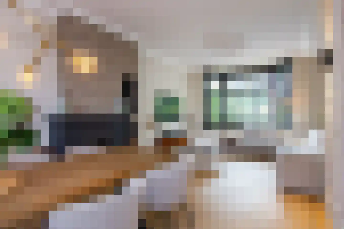 Kleine Houtweg 53 Haarlem thumbnail 8