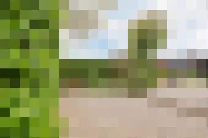 Kleine Houtweg 60 Heemskerk thumbnail 10