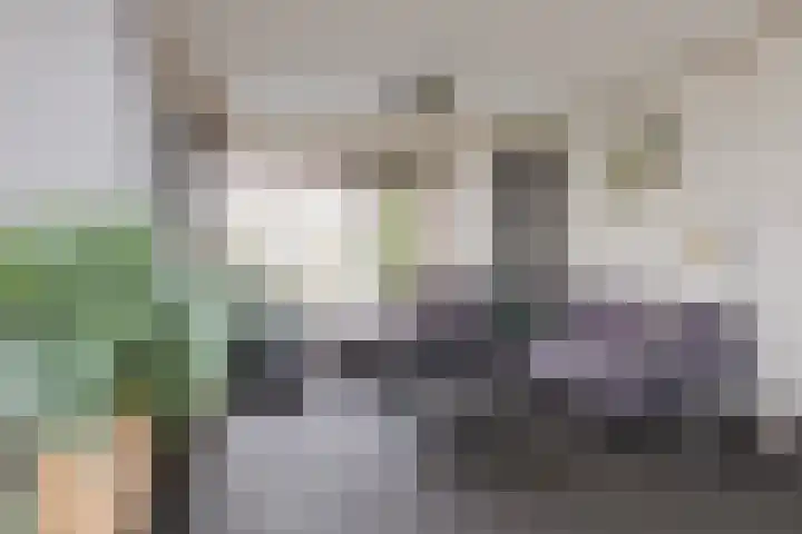 Kleine Houtweg 60 Heemskerk thumbnail 17