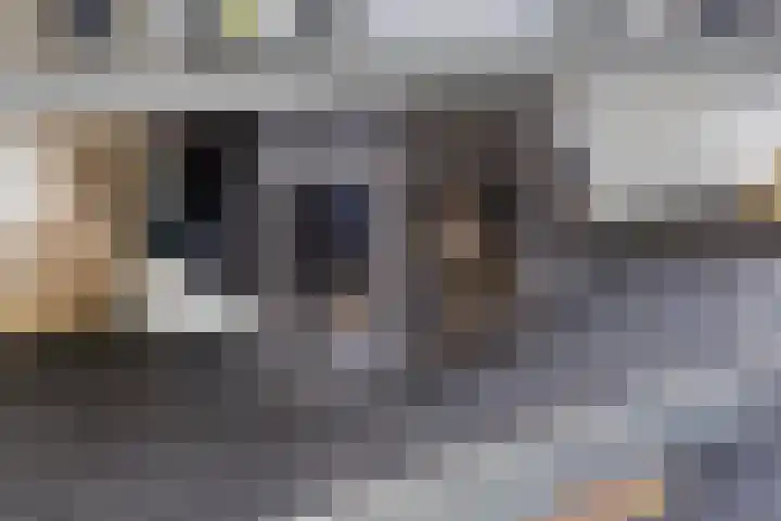 Kleine Houtweg 60 Heemskerk thumbnail 20