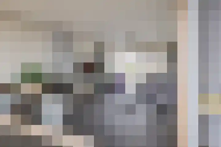 Kleine Houtweg 60 Heemskerk thumbnail 23