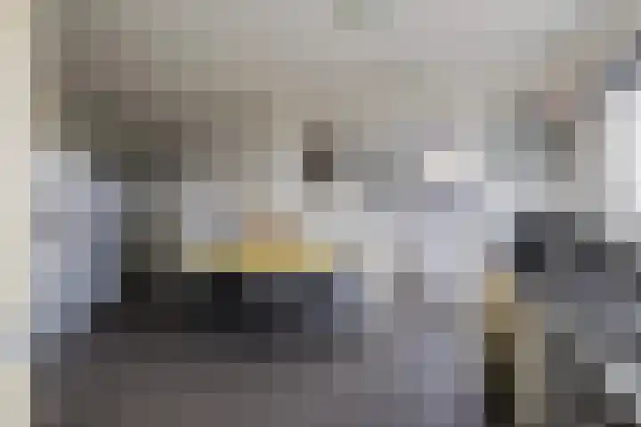 Kleine Houtweg 60 Heemskerk thumbnail 29