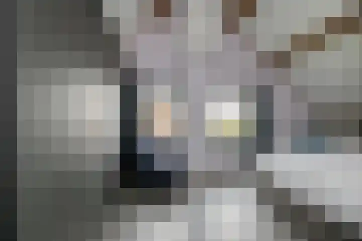 Kleine Houtweg 60 Heemskerk thumbnail 40