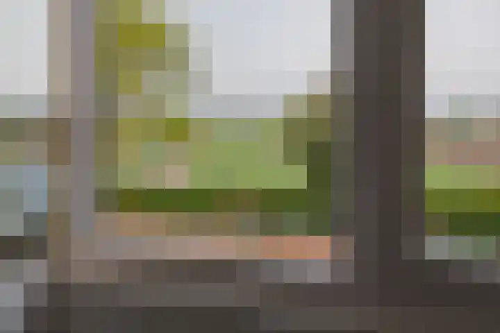 Kleine Houtweg 60 Heemskerk thumbnail 53